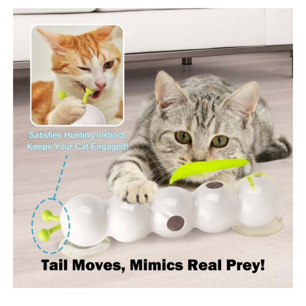 Wack A Worm Cat Toy - Picture 6 of 7